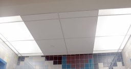 White Transulcent Acrylic Panels and 2' x 2' Acosutical Ceiling Panels