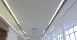 2' x 2' Acoustical Ceiling Tile