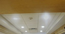 2' x 2' - Acoustical Ceiling Tile
